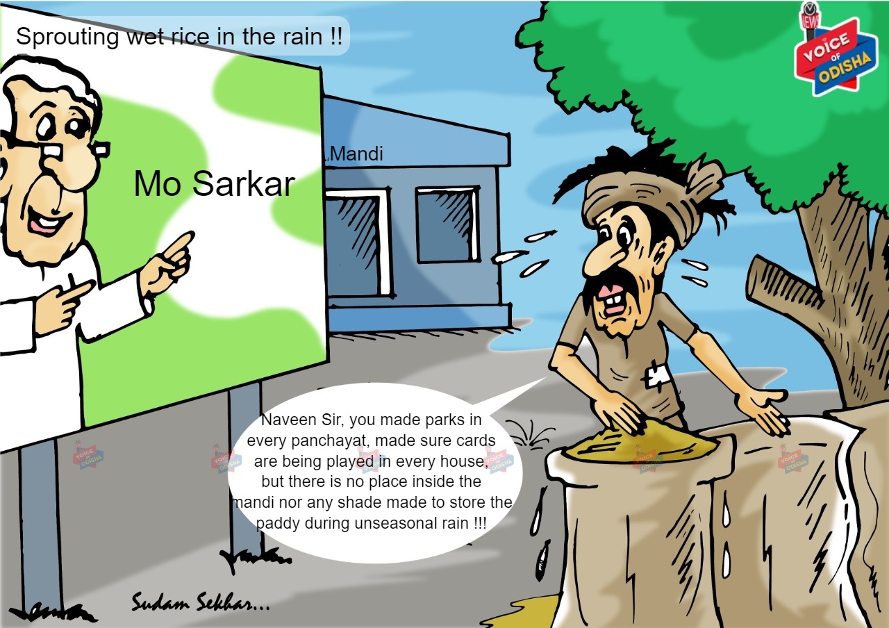 sprouting wet grains