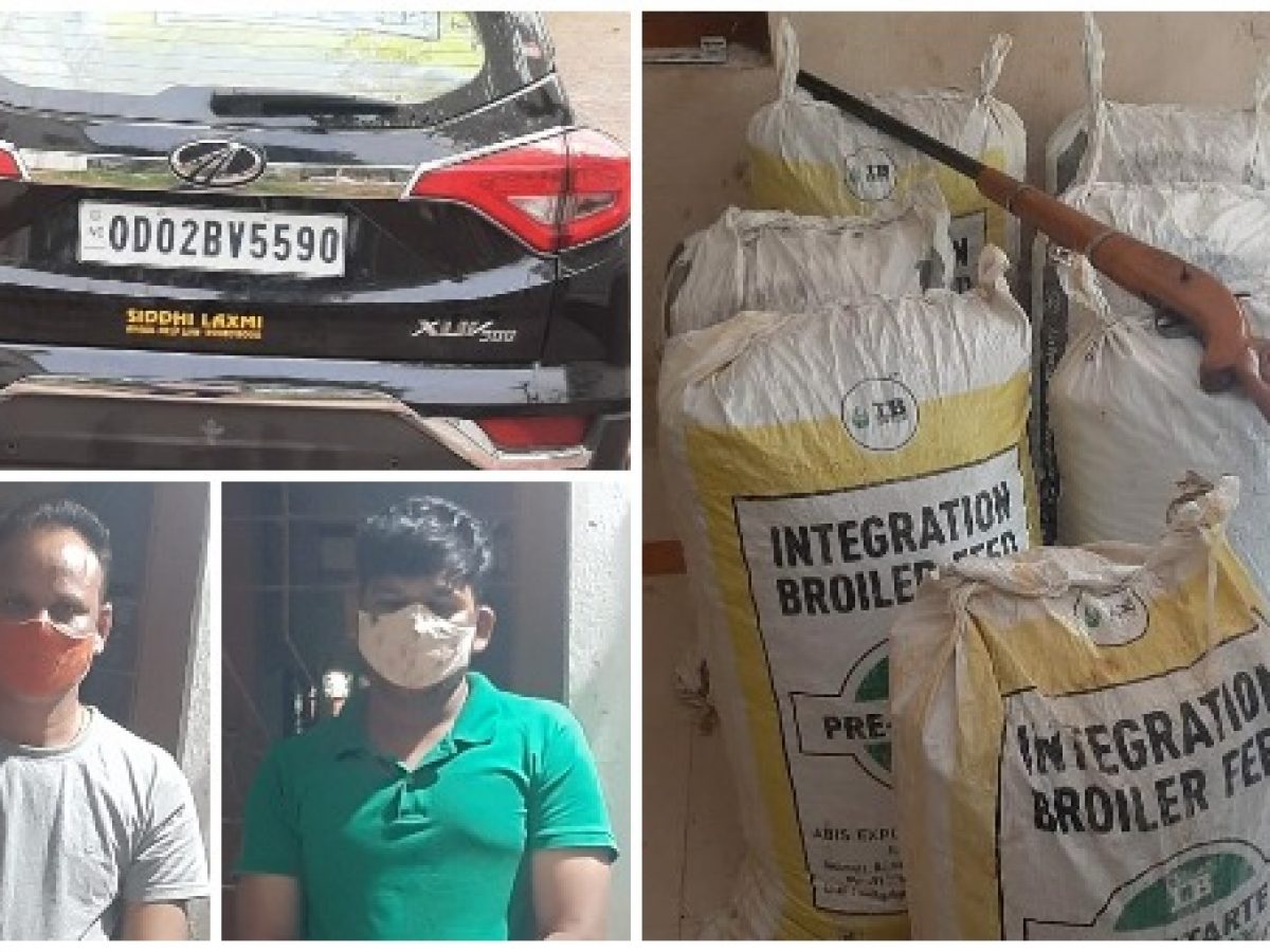 STF seizes 165 kg ganja from SUV; SBI Clerk among held peddler duo