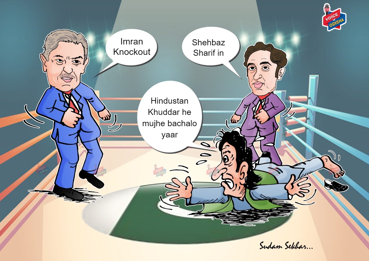 Imran khan knockout cartoon