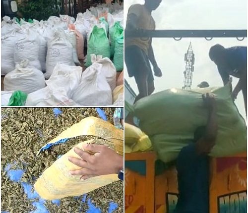 Ganja worth Rs 5 crore seized from truck in Koraput; 3 held