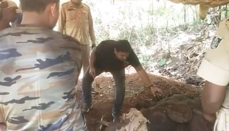 Young tusker succumbs to pellet injuries in Cuttack 