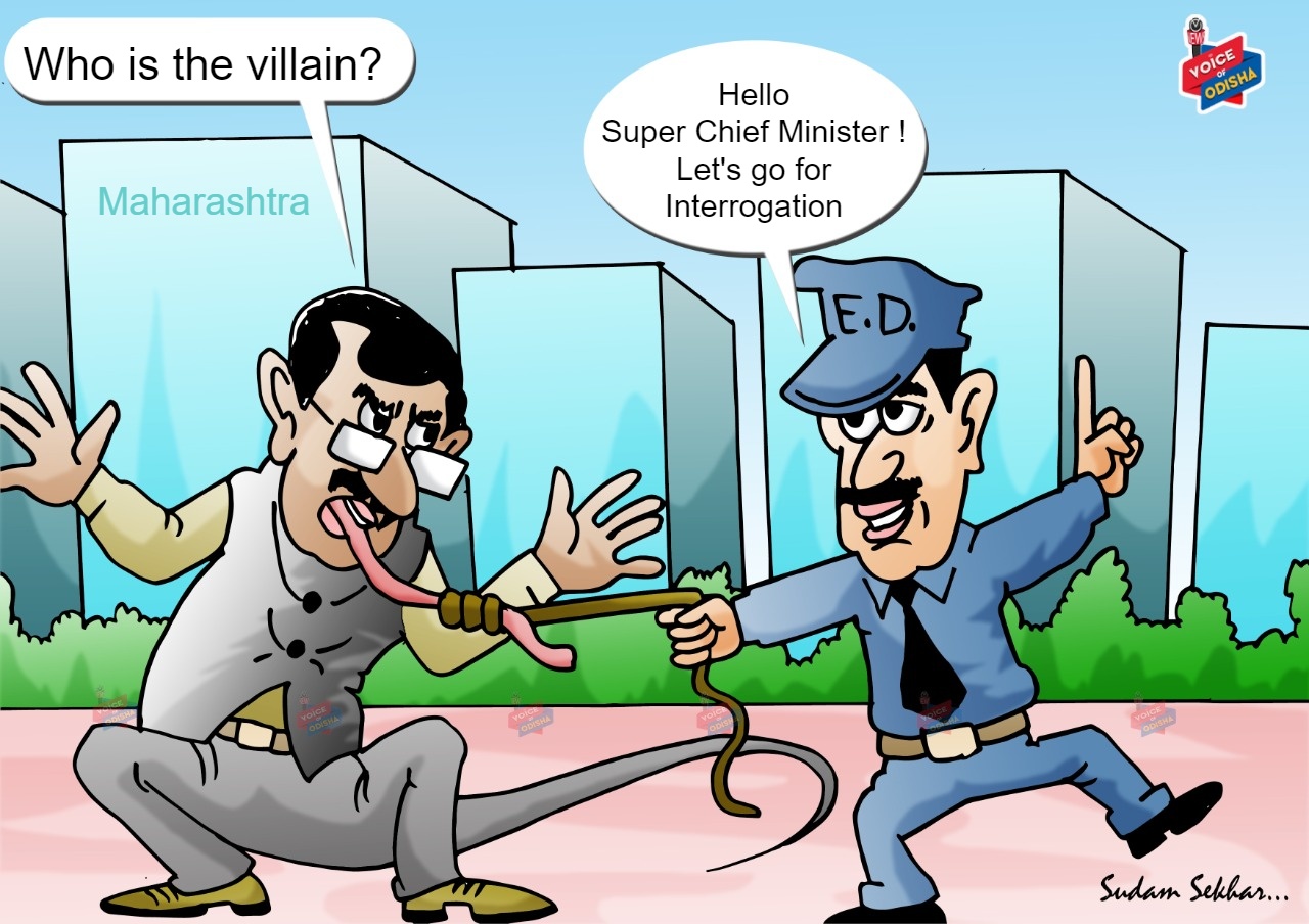 ED Interrogation cartoon