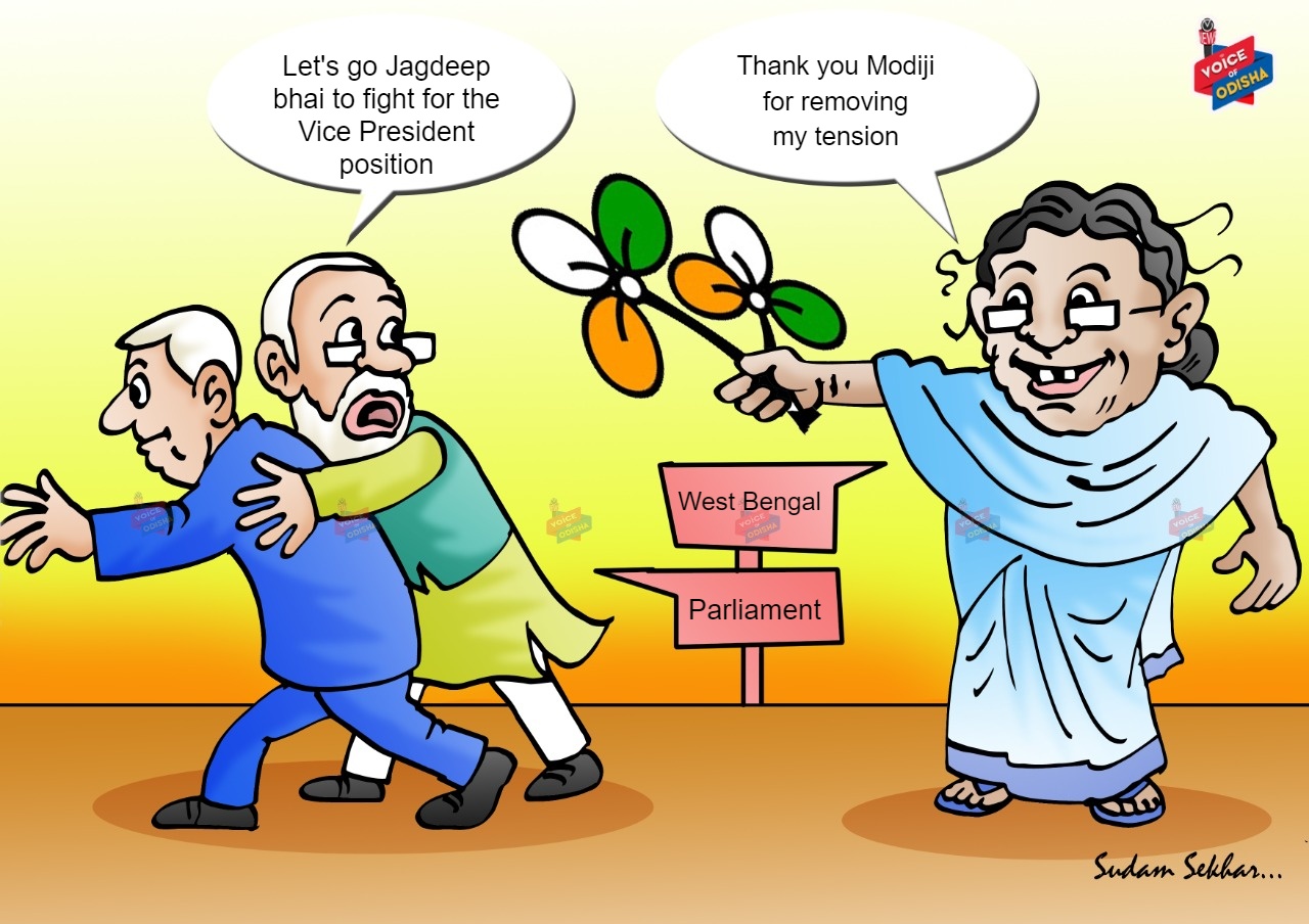 Vice President election 