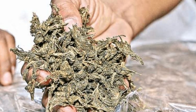 Ganja stashed in luxury car seized in Bhubaneswar, 5 held