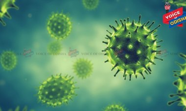 Odisha logs 393 fresh Covid cases