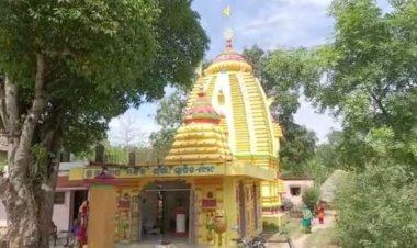 8 injured as Bee Attack devotee During Akshaya Tritiya Ritual In Temple