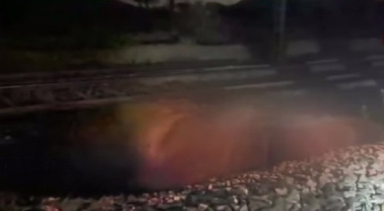 Another elephant dies in train accident in Odisha