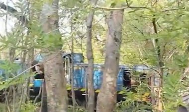 Private goods train derails in Odisha, no casualties reported