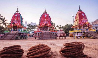 Rath Yatra 2023: 'Dakshina Moda' rituals of chariots today