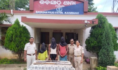 Mayurbhanj Police Arrest 3, Seize 3 Illegal Guns