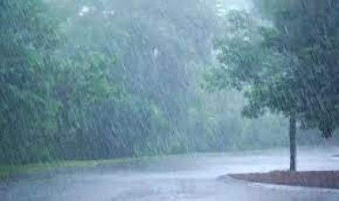 Low pressure area likely to form over Bay of Bengal today; IMD predicts heavy rain in Odisha