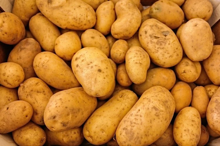 Odisha likely to procure potatoes from Punjab amid inadequate supply from Bengal