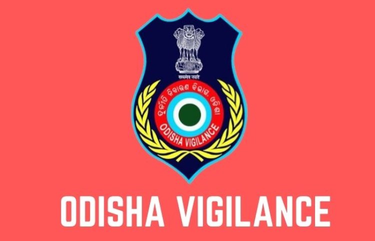 "Vigilance uncovers 85 plots owned by an engineer from Odisha."