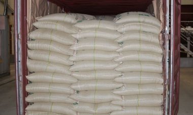 "Delhi Police make largest drug bust in the city, seizing 500 kg of cocaine worth ₹2,000 crore."