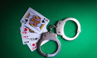 "315 people were arrested in Odisha for participating in gambling."