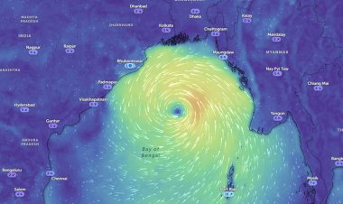 TOLL-FREE NUMBER FOR CYCLONE DANA