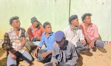 Seven individuals, referred to as ‘supari killers,’ were arrested for plotting to eliminate a groom on his wedding day in Odisha.